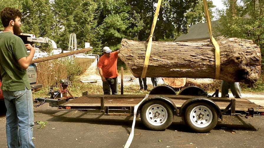 Log trailer transporting an urban tree