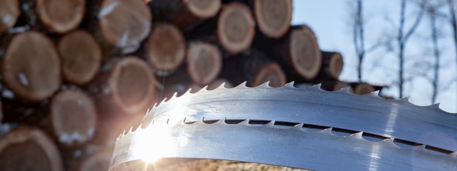 New Wood-Mizer system of marking bandsaw blades