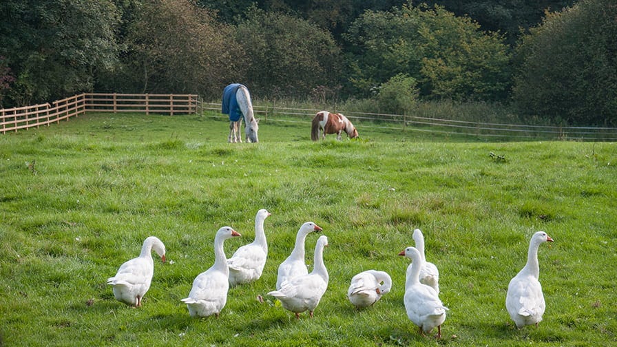 Grange Farm in North Yorkeshire